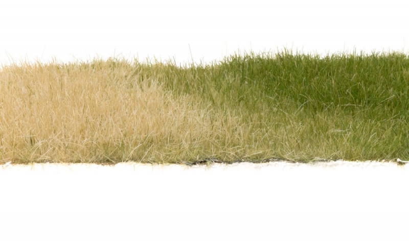 Statisches Gras - stroh