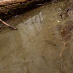 AK Diorama - Water Gel Swamp Gel Effects