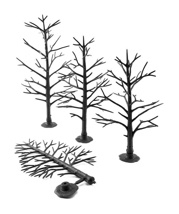 Laubbäume (13-18cm) 12 Stück