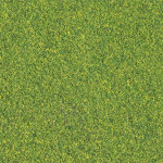 Blended Turf - grünes Gras