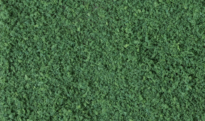Coarse Turf - dunkelgrünes Gras