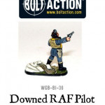 Downed RAF Pilot