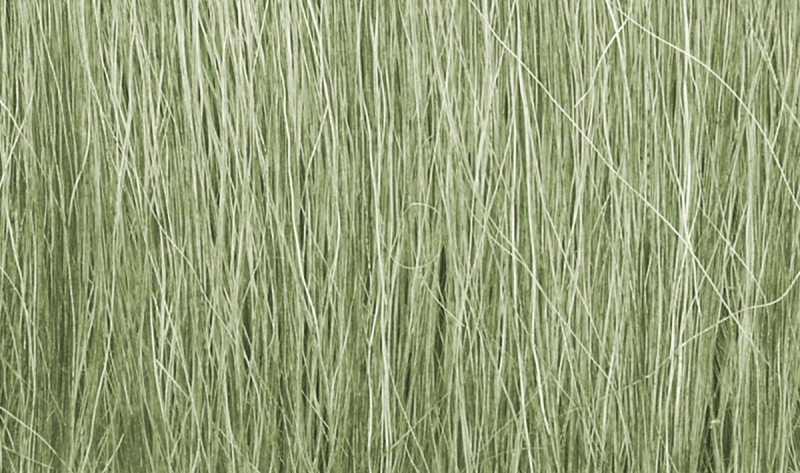 Fieldgras lightgreen 5cm