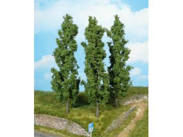 Poplars 18cm (3)