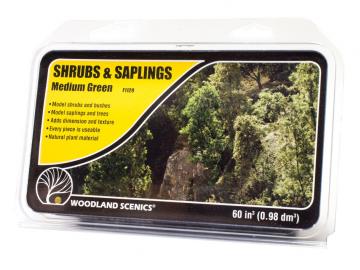 Shrubs & Saplings Medium Green