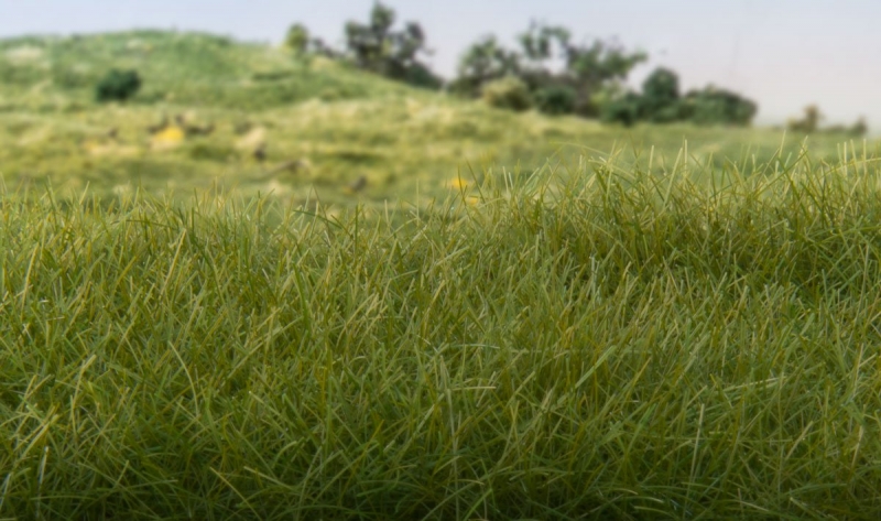 Statisches Gras - hellgrün
