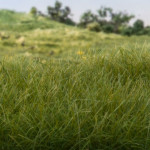 Statisches Gras - hellgrün